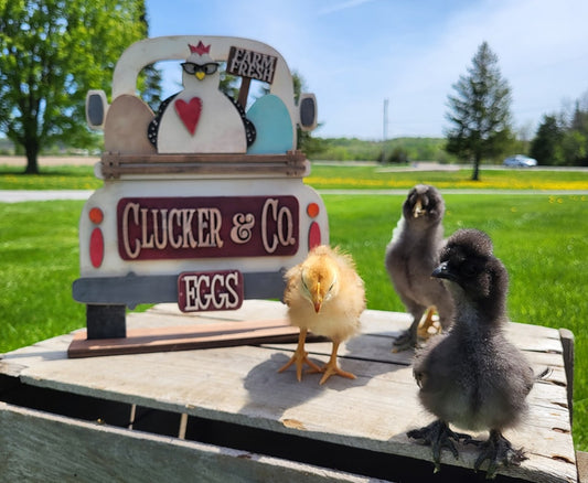 Cluck & Co Truck