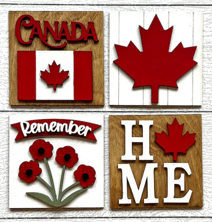 DIY INSERTS FOR 30 INCH LADDER- CANADA