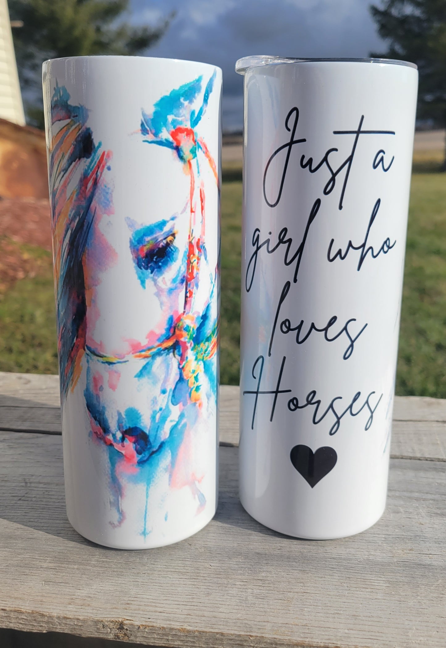 Just a girl that loves horses